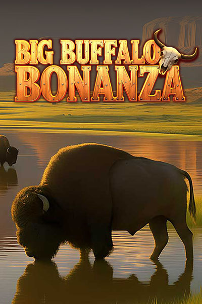 Big Buffalo Bonanza